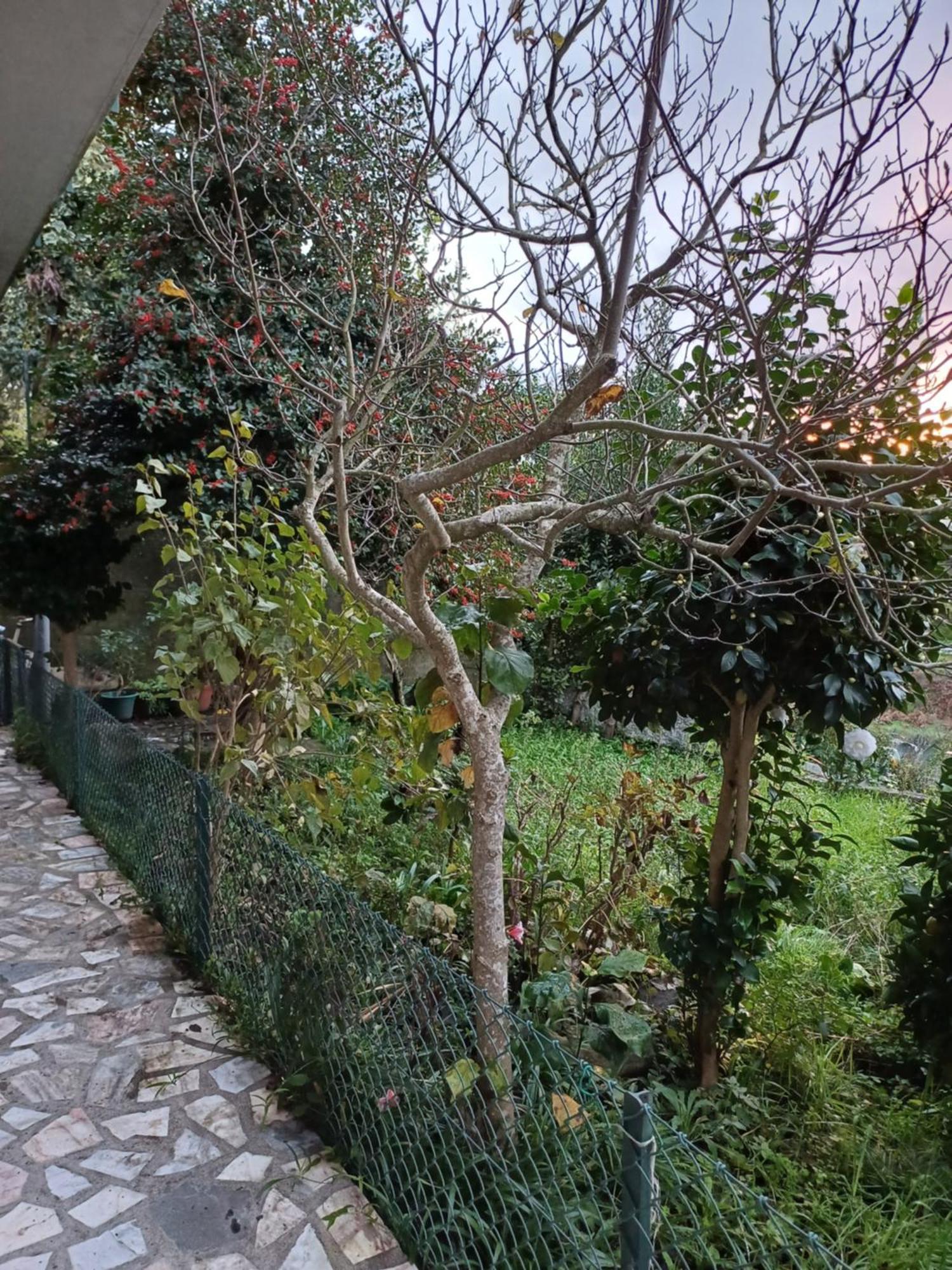 Amarante Residence Buitenkant foto